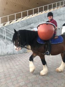 Dyfed Shire Drum Horses