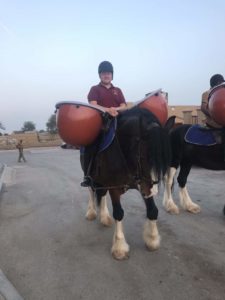 Dyfed Shire Drum Horses