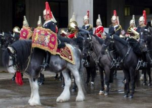 Dyfed Shire Drum Horses