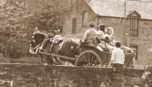 Other Shire Horses from Dyfed Shires