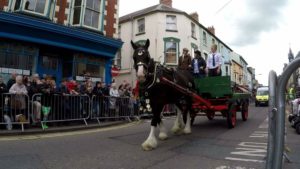 Willa Rose Shire Horse